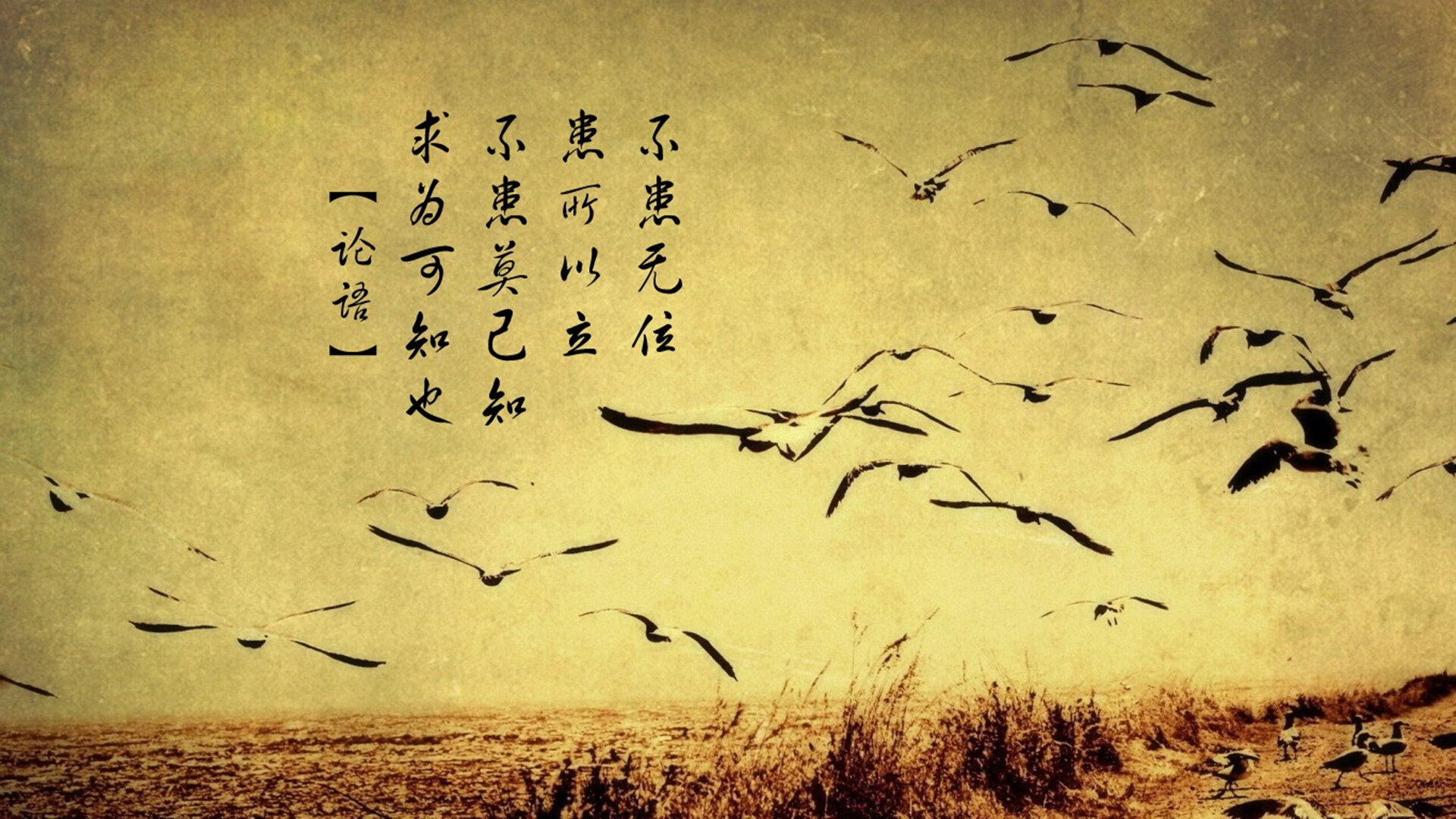 开云电子-“足球+旅游+文化”融合产业研究院在行业内建立示范作用,融合文旅集团有限公司