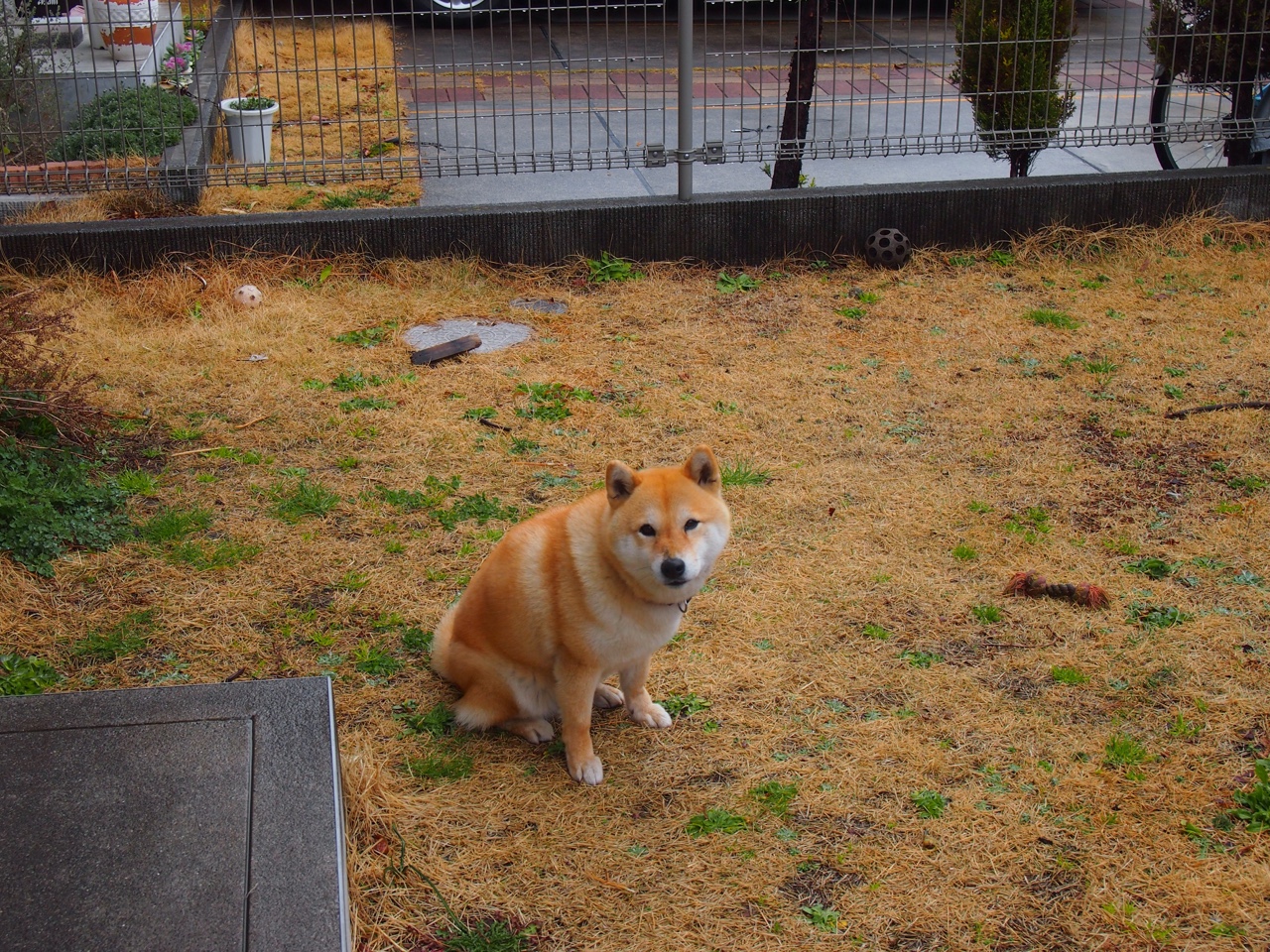 开云体育中国官方网站-【战术奇招】马克·塞尔比的“假动作”陷阱详解，马克·塞尔比的球风