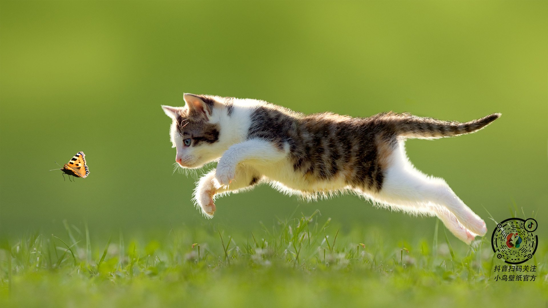 开云体育在线登入-区块链游戏探索:数字资产与全新模式,区块链通往数字资产化之路