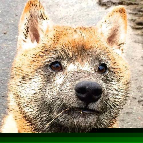 开云体育在线登入-区块链游戏探索:数字资产与全新模式,区块链通往数字资产化之路