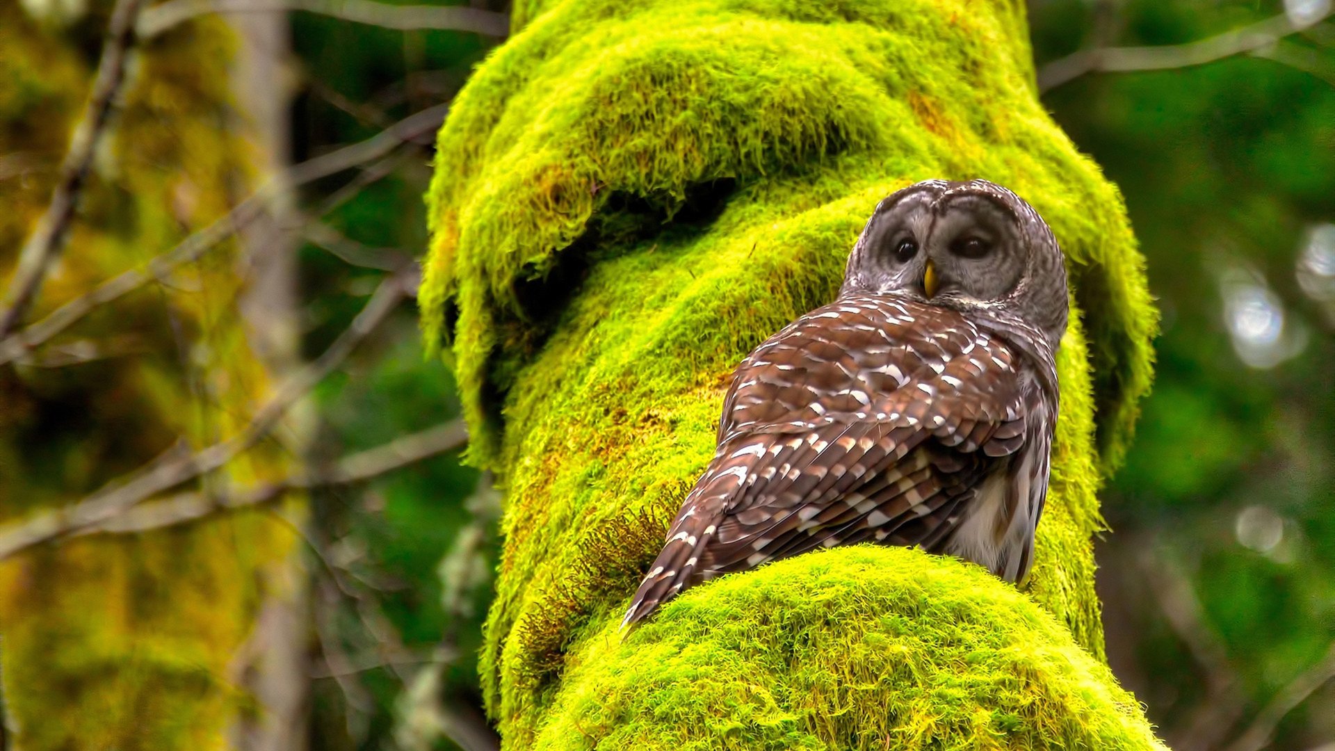 开云体育登入-史上最“爆炸”逆转，谁能打破纪录？，地球史上最强爆炸