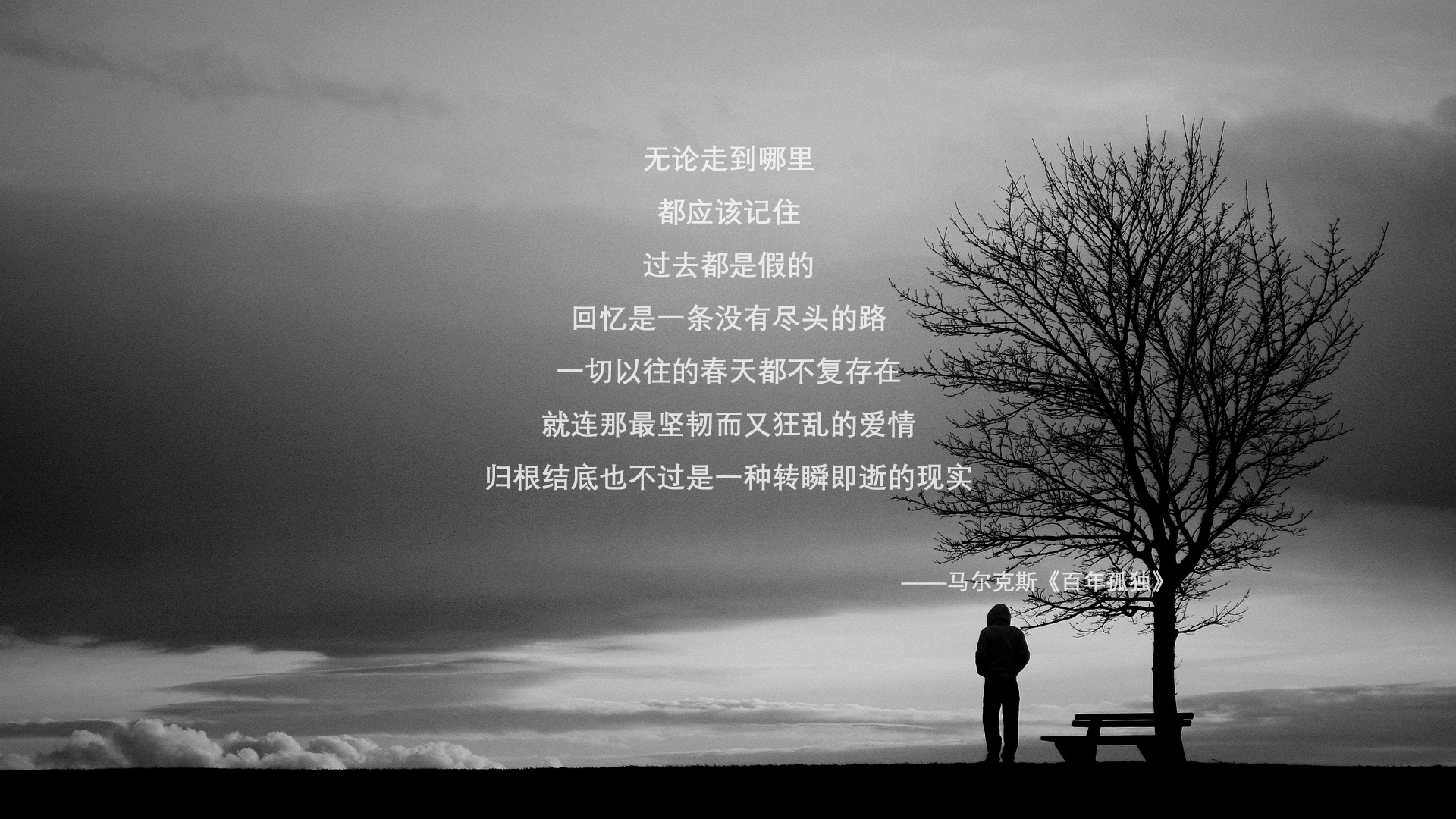 开云体育登录网站入口-夺冠“黑马兵团”逆势而起的精彩瞬间，黑马骑兵团是什么电视剧