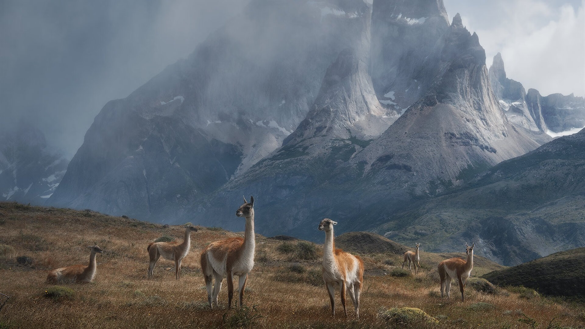 开yun体育-德甲激烈，赛后教练讲述战术布置与核心战术成功要素，德甲技术特点